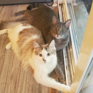 Meet your Posher, Dana